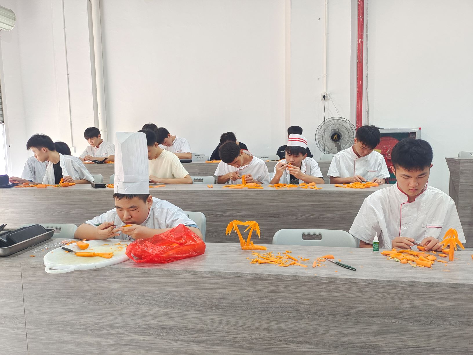 学生作品展示丨开云手机登录入口
