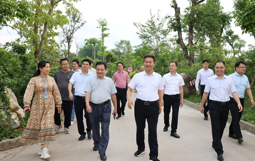 桂平市市长黄德佳等领导到我校指导工作 丨 开云手机登录入口